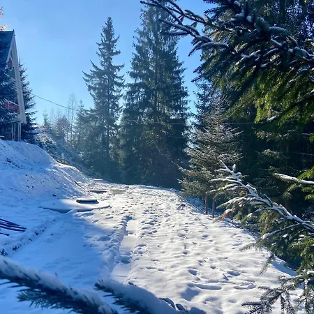 Freeman Cottage: Riverside Ground Floor With Private Terrace Apartment Bukovel