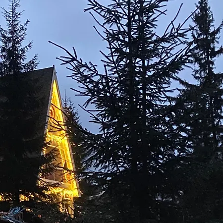 Apartmán Freeman-1 триповерховий будинок для 12гостей *