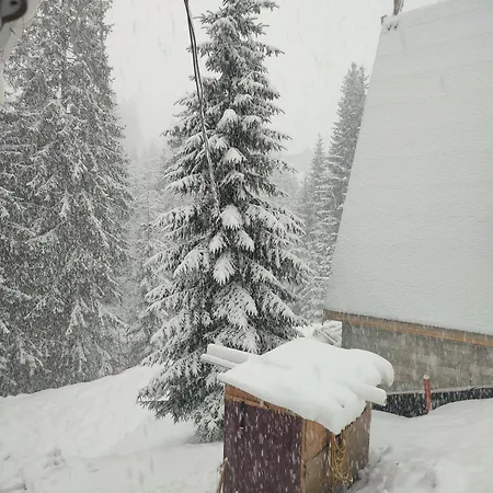 Apartamento Freeman-1 триповерховий будинок для 12гостей