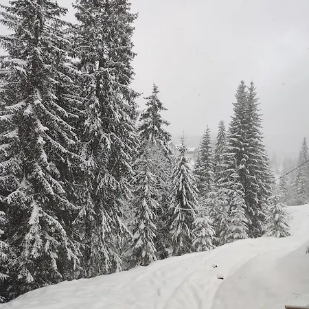 Apartamento Freeman-1 триповерховий будинок для 12гостей *