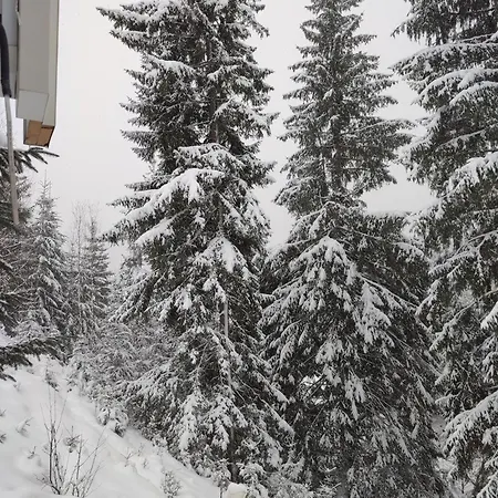 Apartamento Freeman-1 триповерховий будинок для 12гостей