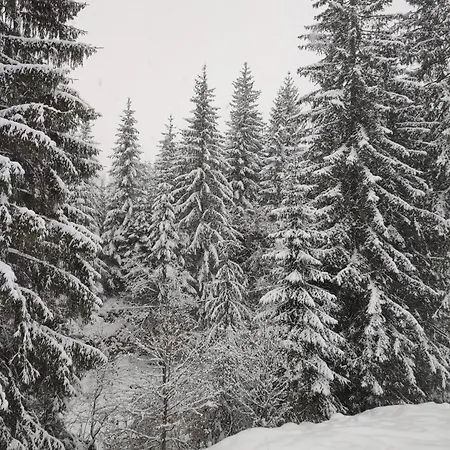 Freeman-1 триповерховий будинок для 12гостей Apartamento