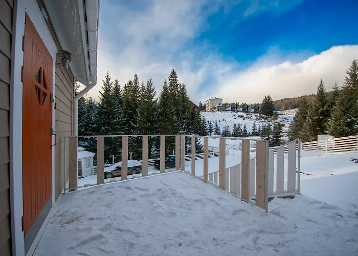 Freeman-1 триповерховий будинок для 12 гостей * 布克维