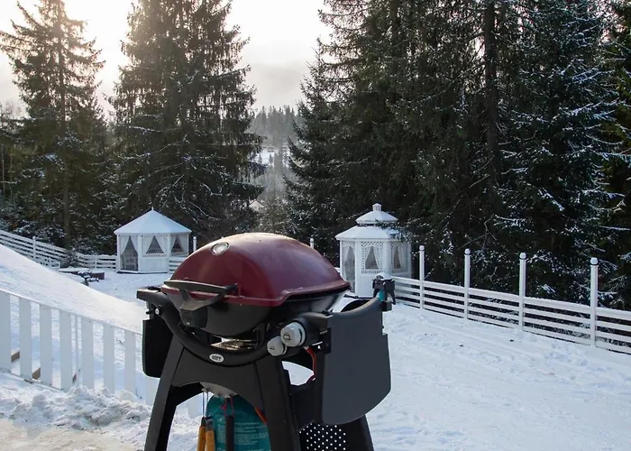 公寓 Freeman-1 триповерховий будинок для 12 гостей 布克维