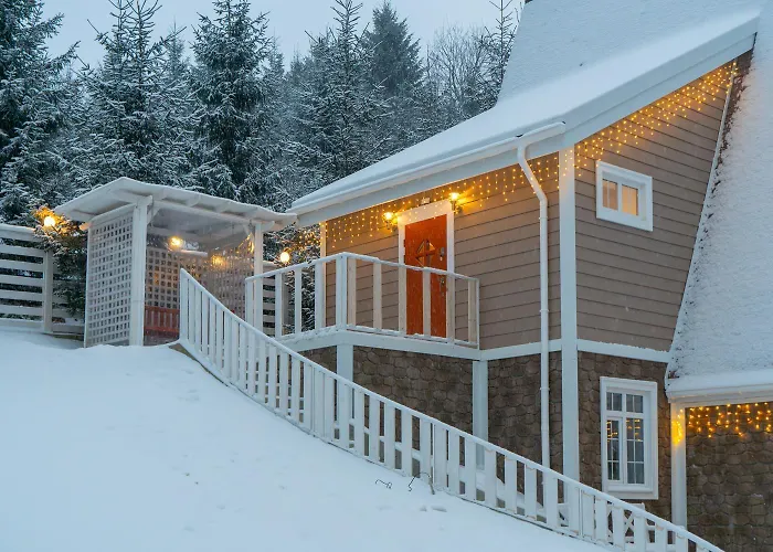 公寓 Freeman-1 триповерховий будинок для 12 гостей 布克维